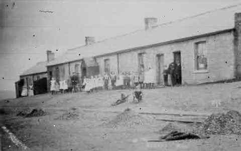One of the older rows